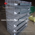 Metal quail farm cage with water system